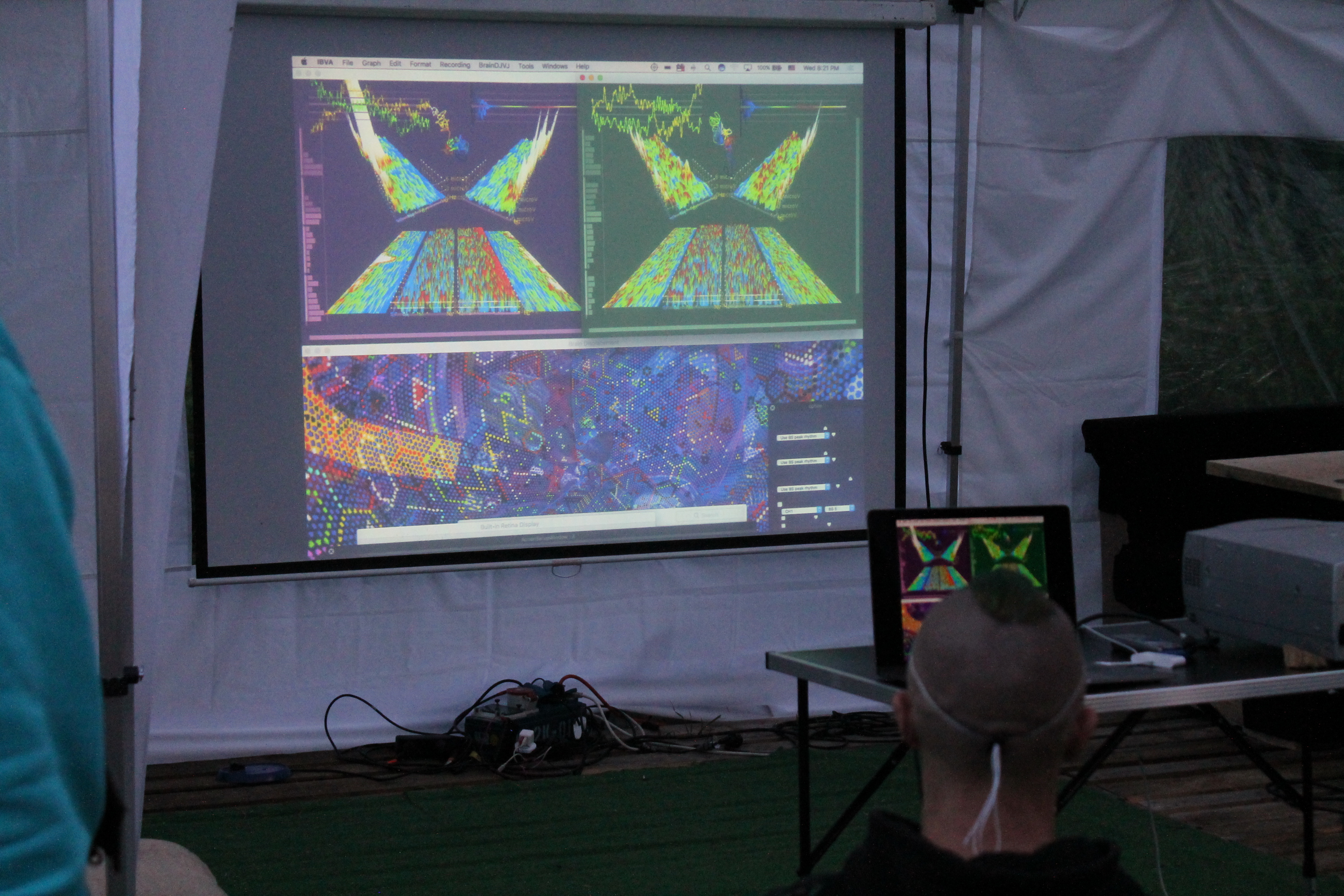 Abbildung 8 zeigt visualisierte Gehirnströme von zwei Personen auf der Leinwand im Drogeninfostand auf dem New Healing Festival 2017. Foto: Tomek (CC BY-SA 3.0 DE)