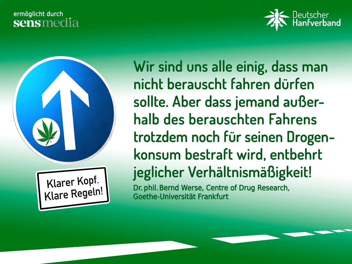 Zitat von Bernd Werse zur Führerscheinkampagne des Deutschen Hanfverbandes. Bild: Deutscher Hanfverband.