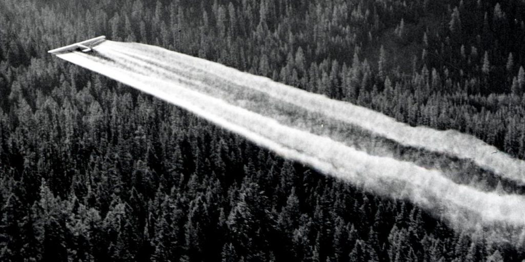 1955. DDT-Versprühung mittels Flugzeug