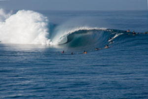 Anstehen für die perfekte Welle - Tahiti-Surfing