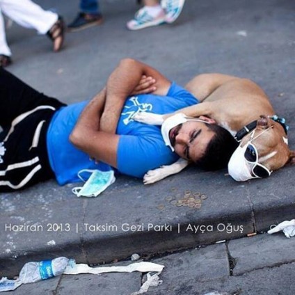 Istanbul Hund Gasmaske 2