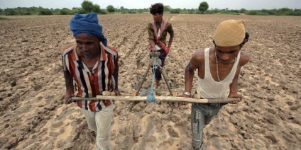 Farmers plough a field before sowing cotton seeds in Kayla village