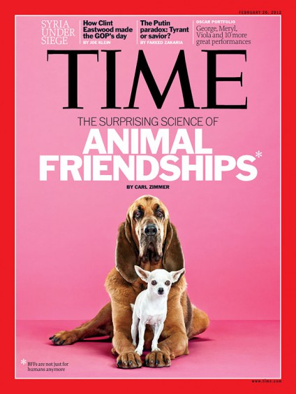 animal-friendship
