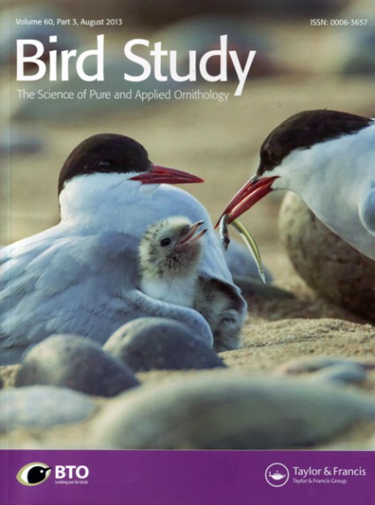 birdstudy