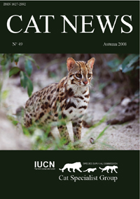 cat-news