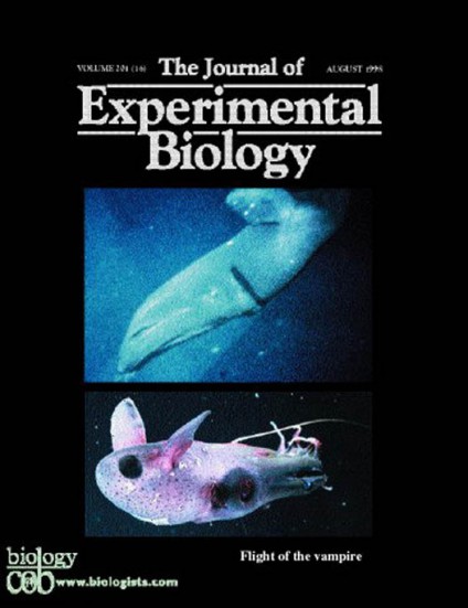 experimental-biology