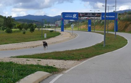 Der Hund auf der Autobahn