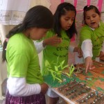 Kinder aus Tiquipaya erklaeren oekologischen Gemueseanbau