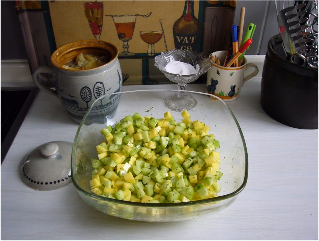 Mango-Gurken-Salat, tazblog Schröder & Kalender, Foto: Barbara Kalender