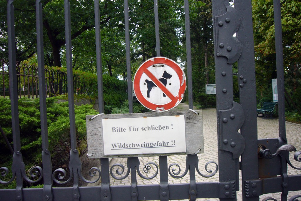1-Wildschweingefahr, Prominentenfriedhof Heerstraße, tazblog Schröder & Kalender, Foto: Barbara Kalender