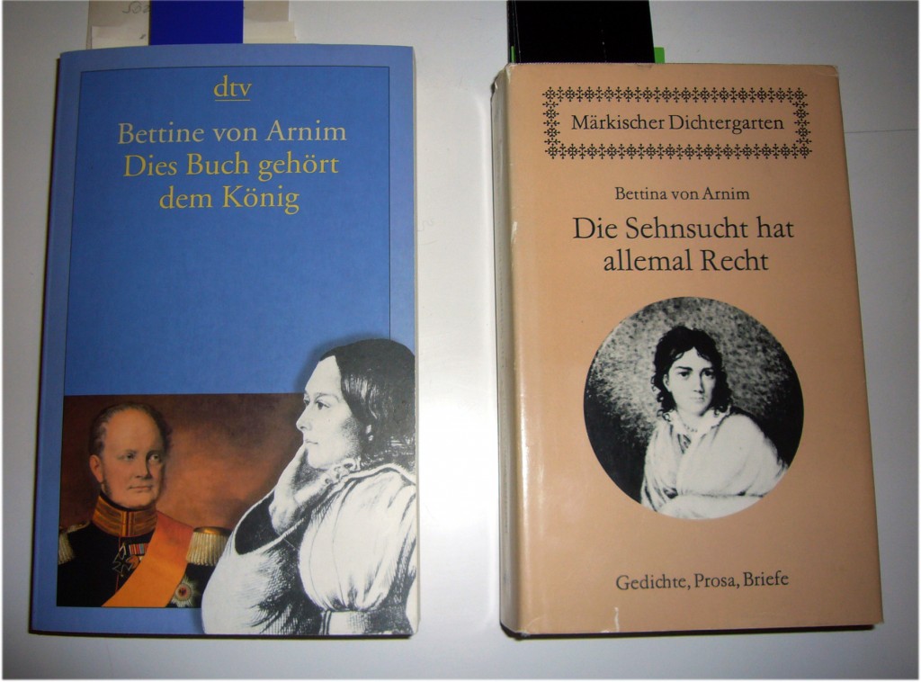 Bettine von Arnim, Bücher. Foto: Barbara Kalender