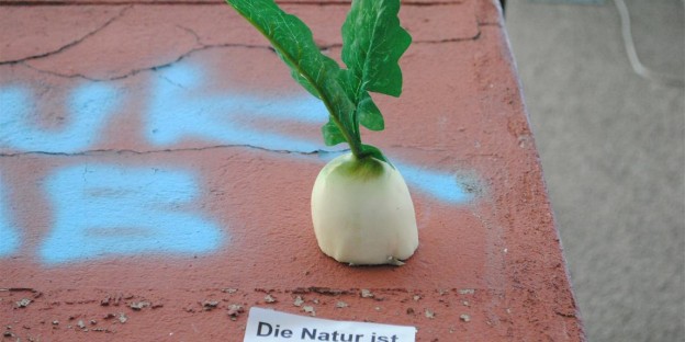 "Die Natur ist in der Stadt" - nah. Fuldastraße. Berlin-Neukoelln. "Die Natur ist in der Stadt" - nah. Fuldastraße. Berlin-Neukoelln.